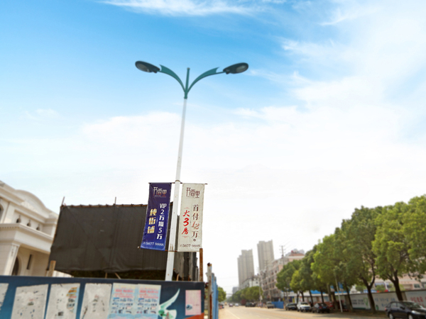 塘桥镇北京路道旗